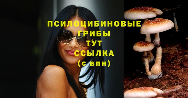 jwh Осинники