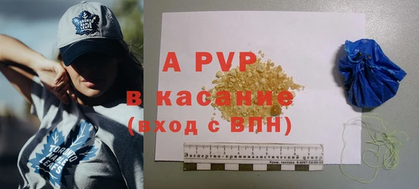 гашик Осташков