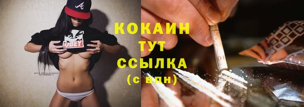 гашик Осташков