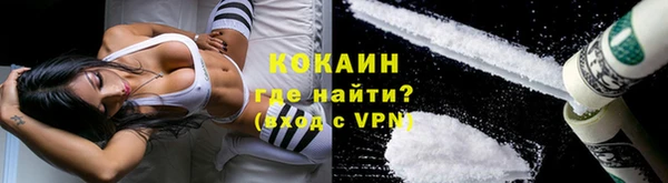 дживик Ивантеевка