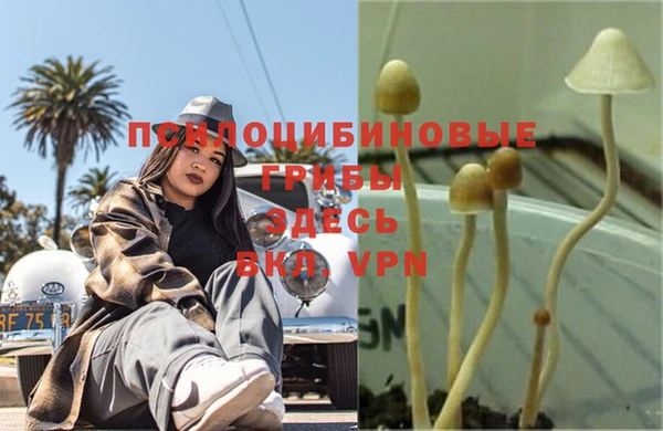 jwh Осинники