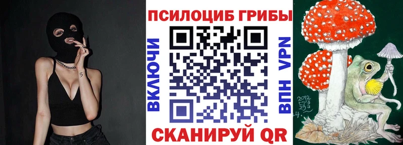 Купить  Гатчина  Галлюциногенные грибы Psilocybine cubensis 